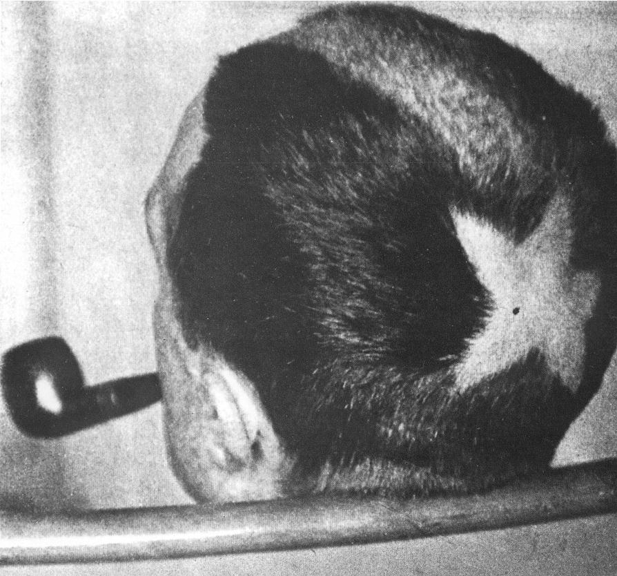 Marcel Duchamp per Man Ray